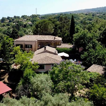 Bed And Breakfast Il Glicine Piedimonte Etneo Exterior foto