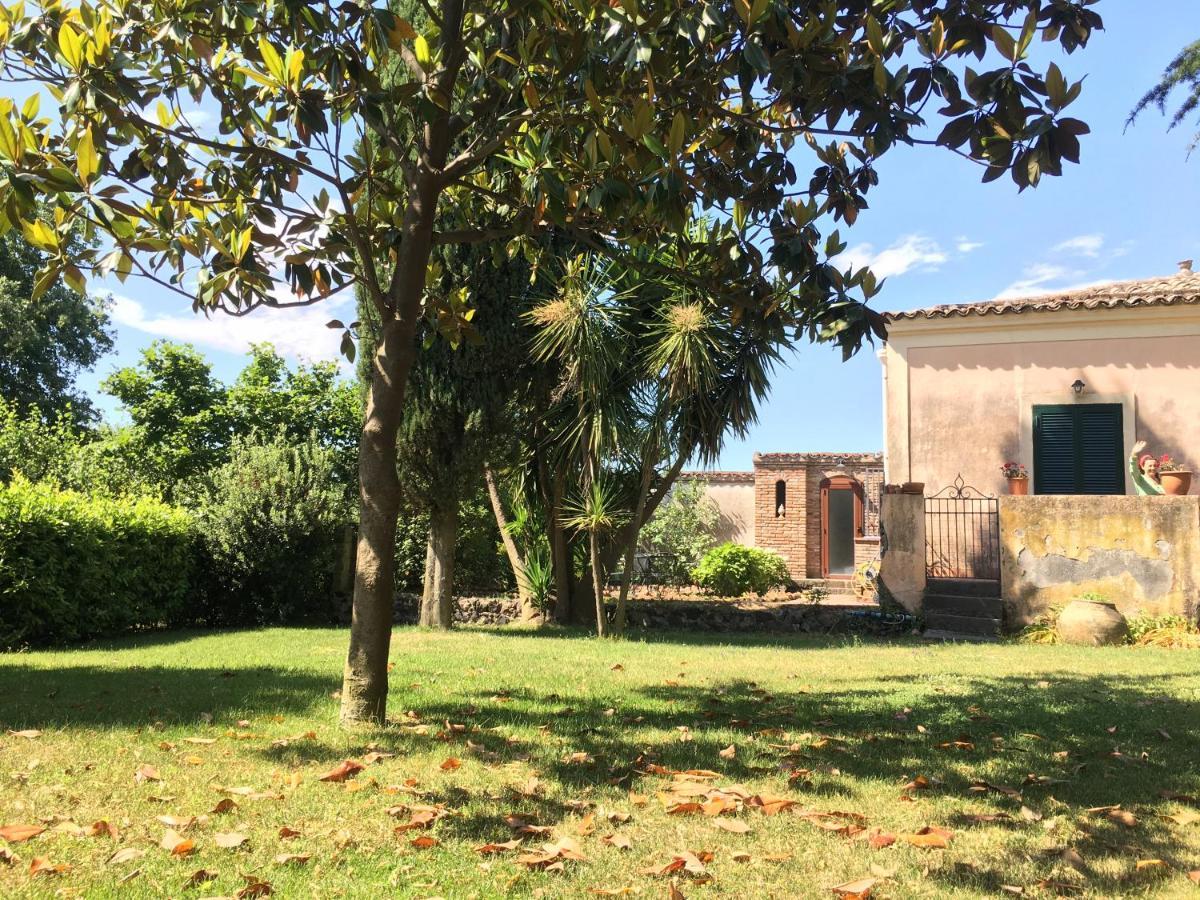 Bed And Breakfast Il Glicine Piedimonte Etneo Habitación foto