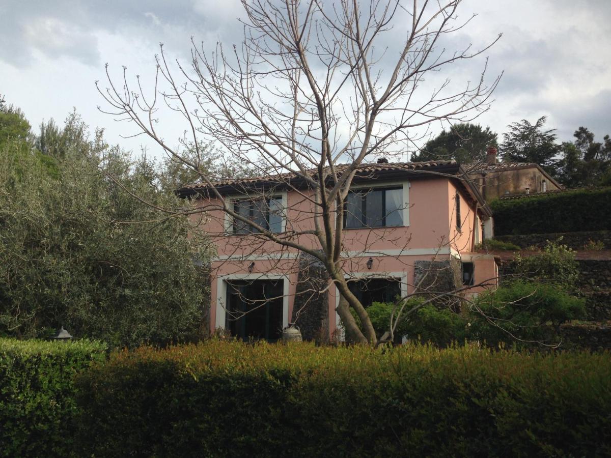Bed And Breakfast Il Glicine Piedimonte Etneo Exterior foto