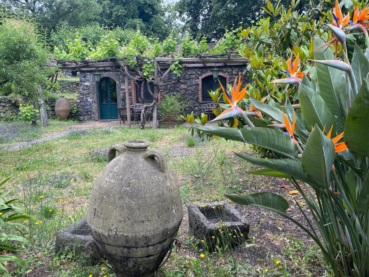 Bed And Breakfast Il Glicine Piedimonte Etneo Exterior foto