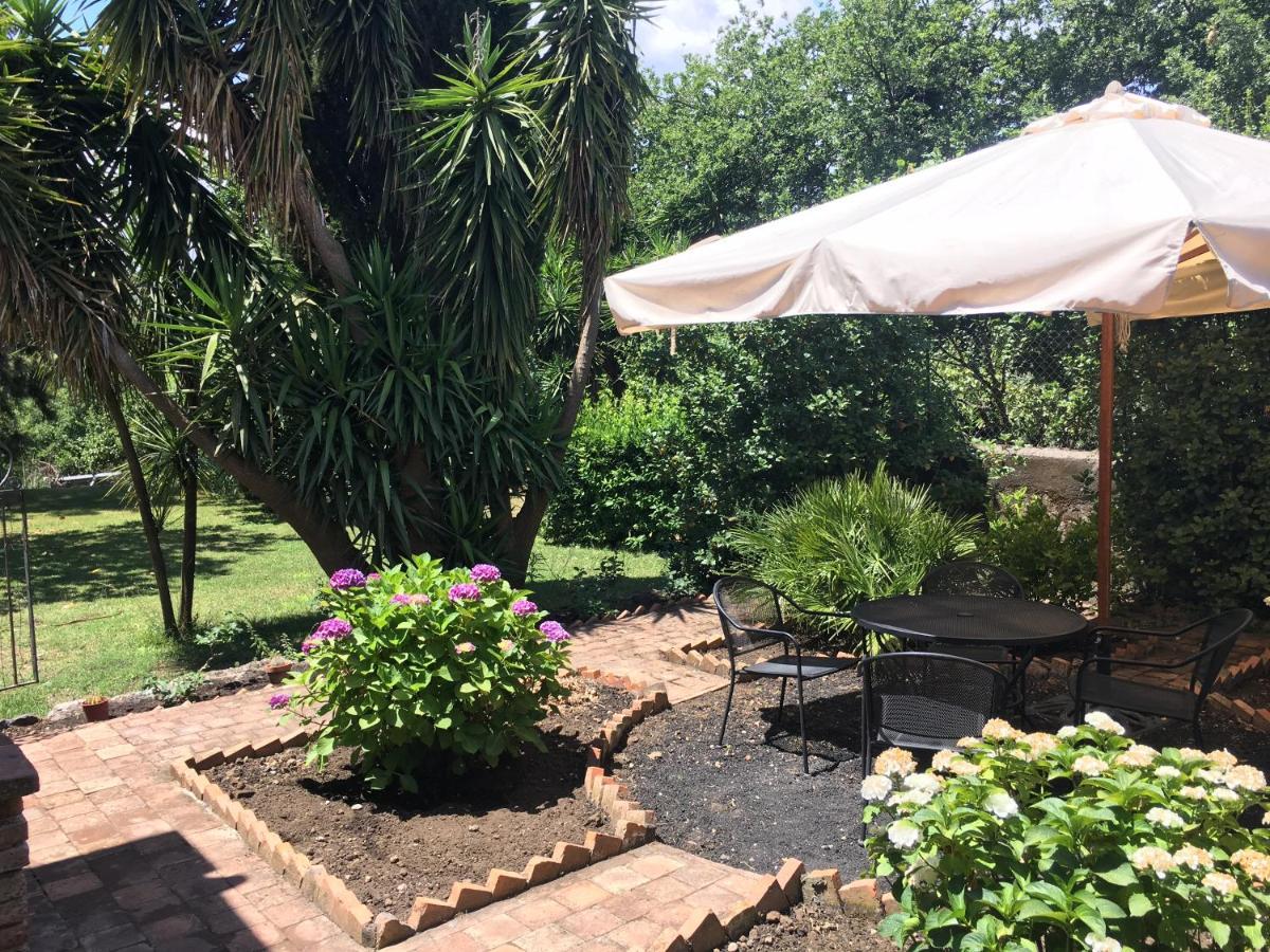 Bed And Breakfast Il Glicine Piedimonte Etneo Exterior foto