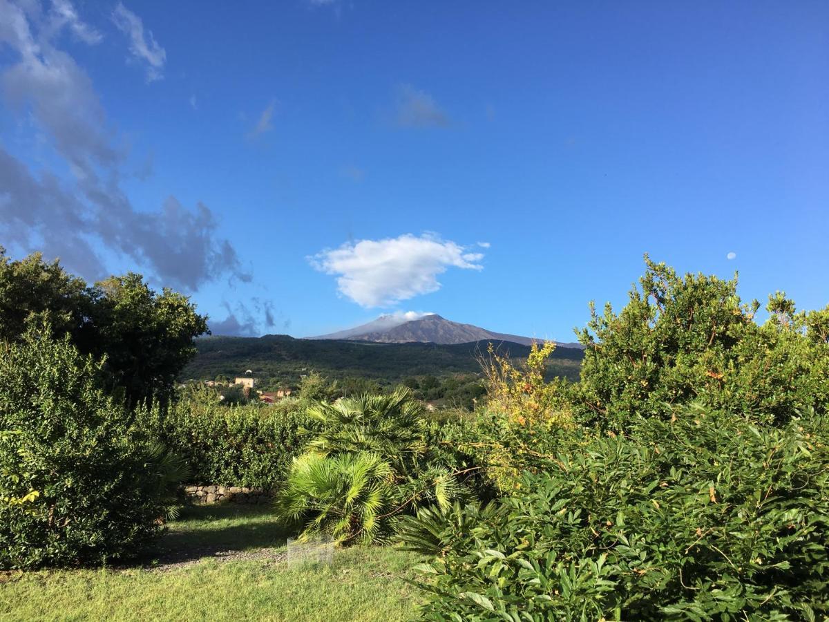 Bed And Breakfast Il Glicine Piedimonte Etneo Exterior foto