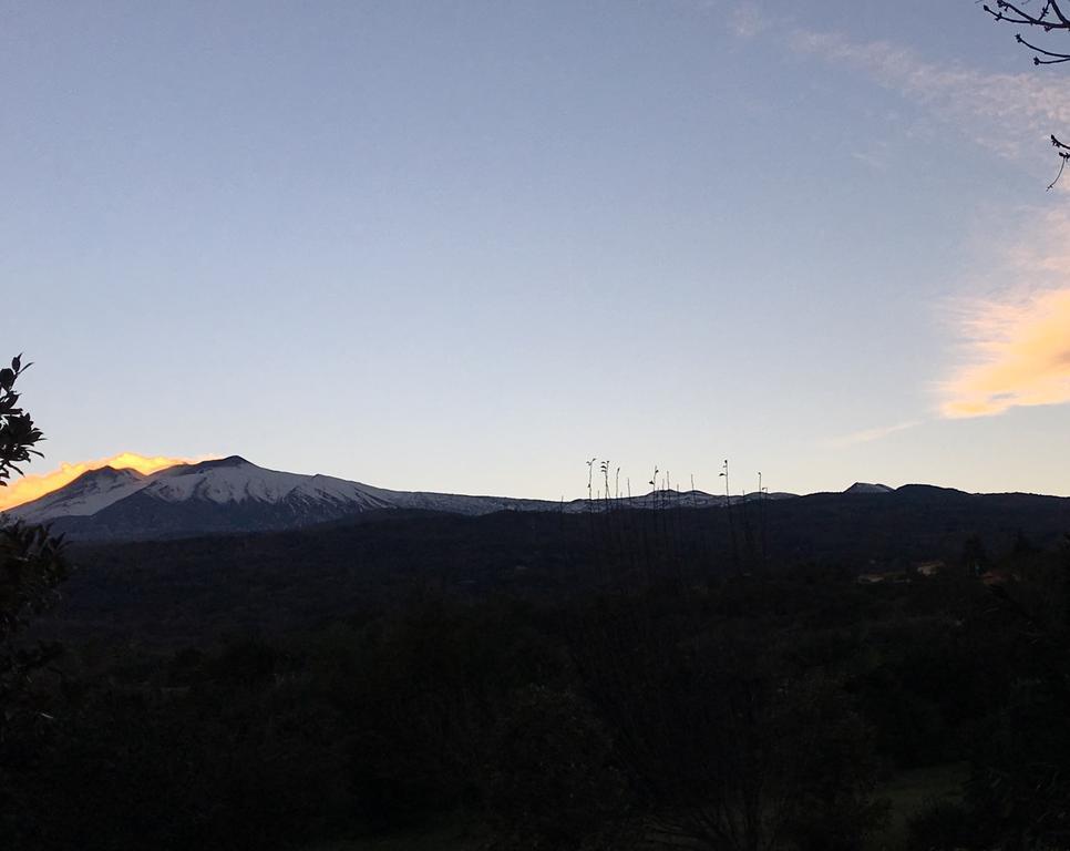 Bed And Breakfast Il Glicine Piedimonte Etneo Exterior foto