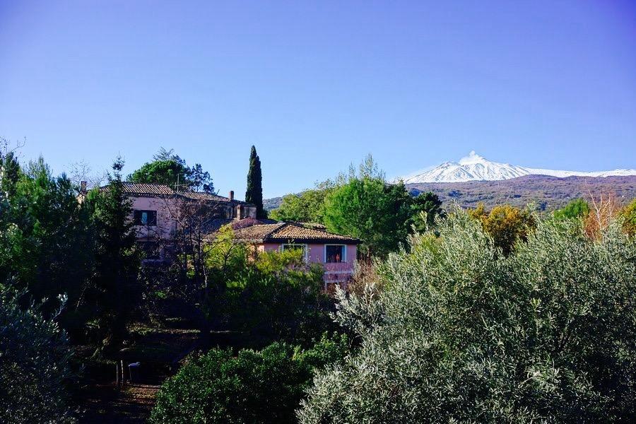 Bed And Breakfast Il Glicine Piedimonte Etneo Exterior foto